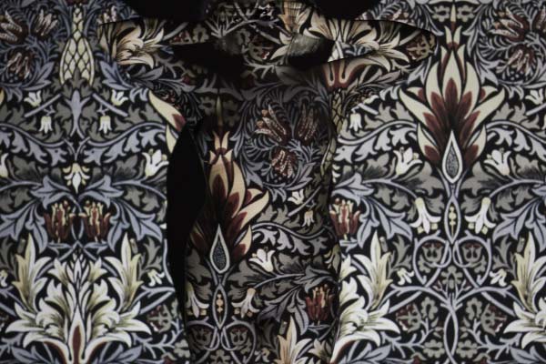William Morris projection naked